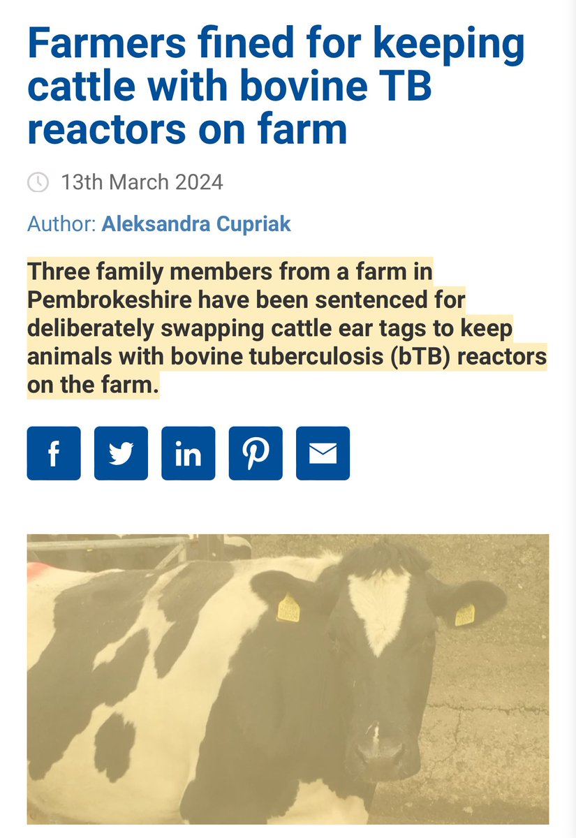 ‘Farmers fined for keeping cattle with bovine TB reactors on farm’ Mental. But hey ho just keep blaming the badgers!
