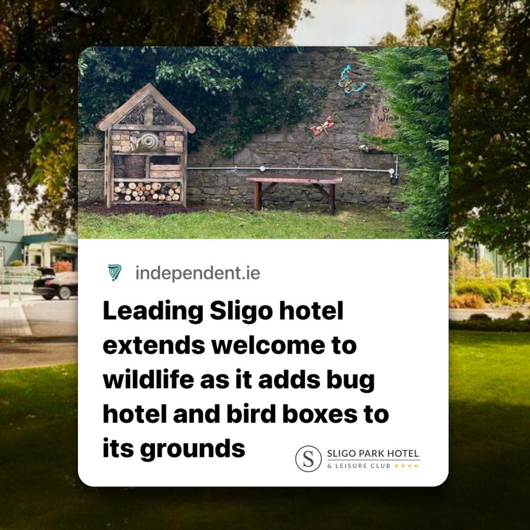 We've been busy bees recently, making our surroundings even more biodiverse. We have installed a range of new features, including a willow dome, bird and bat boxes, and a bug hotel to accommodate more wildlife around the hotel. 🐝🐞 Read all about it here: independent.ie/regionals/slig…