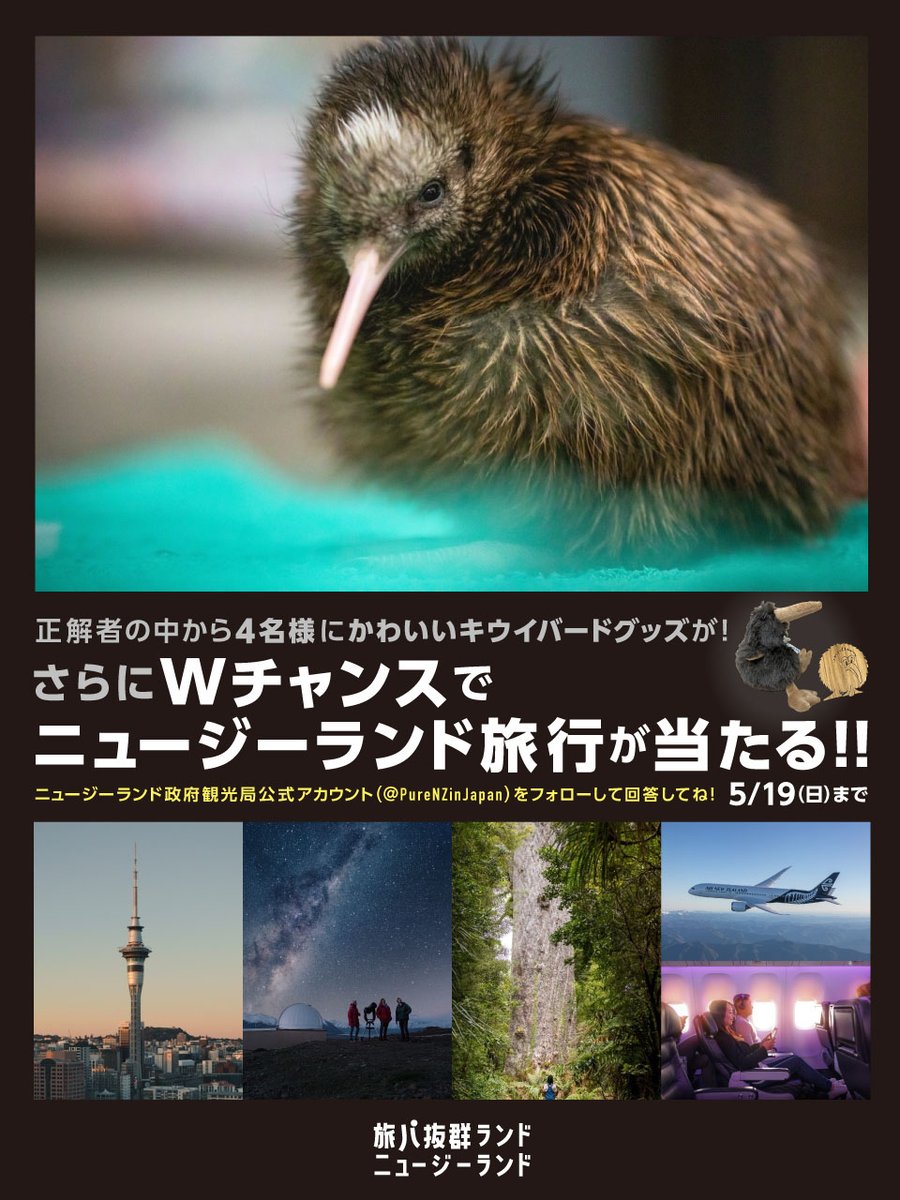 ＼かわいい #キウイバード グッズ当たる！／ では問題！ 飛べない国鳥「キウイ」に似ていることから、その名前がついた食べ物はどっち？ 本アカウントをフォローして 「キウイ」と思う人→リポスト🔁 「アボカド」と思う人→いいね❤ で回答してね #ニュージーランド旅パクエスト #NZ旅パクエスト8