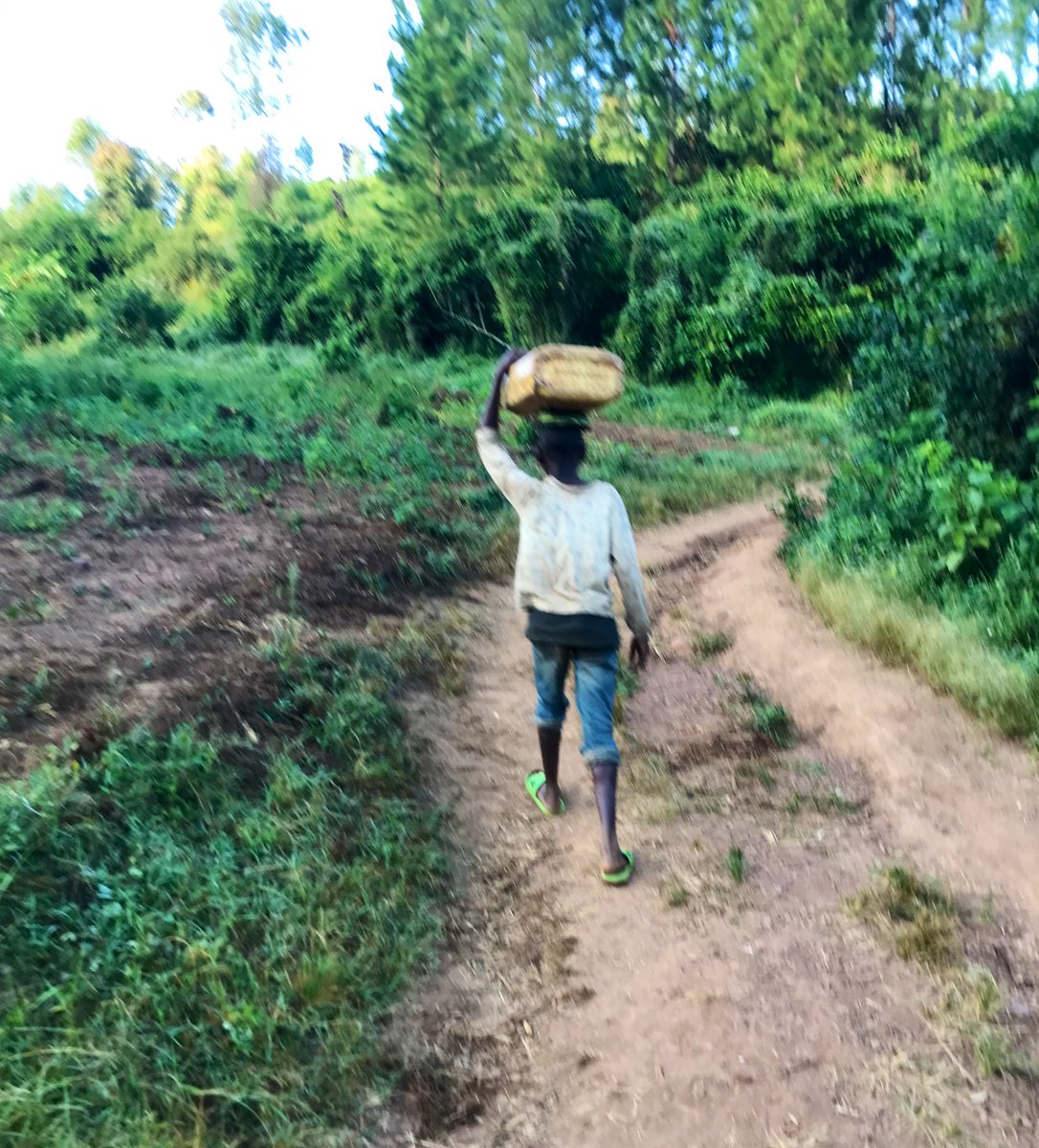 Tukiwa wadogo tunatoka shule alitokea mbwa akatuvamia akangata wanafunzi wawili,Wakawapeleka hospital pale wakaambiwa hawana chanjo ila watawasafisha &warudi home Baada ya Muda Msichana akaanza kubweka kama Mbwa na Mvulana Wazazi hawakuwa na hela WAKAFA I still remember them😭