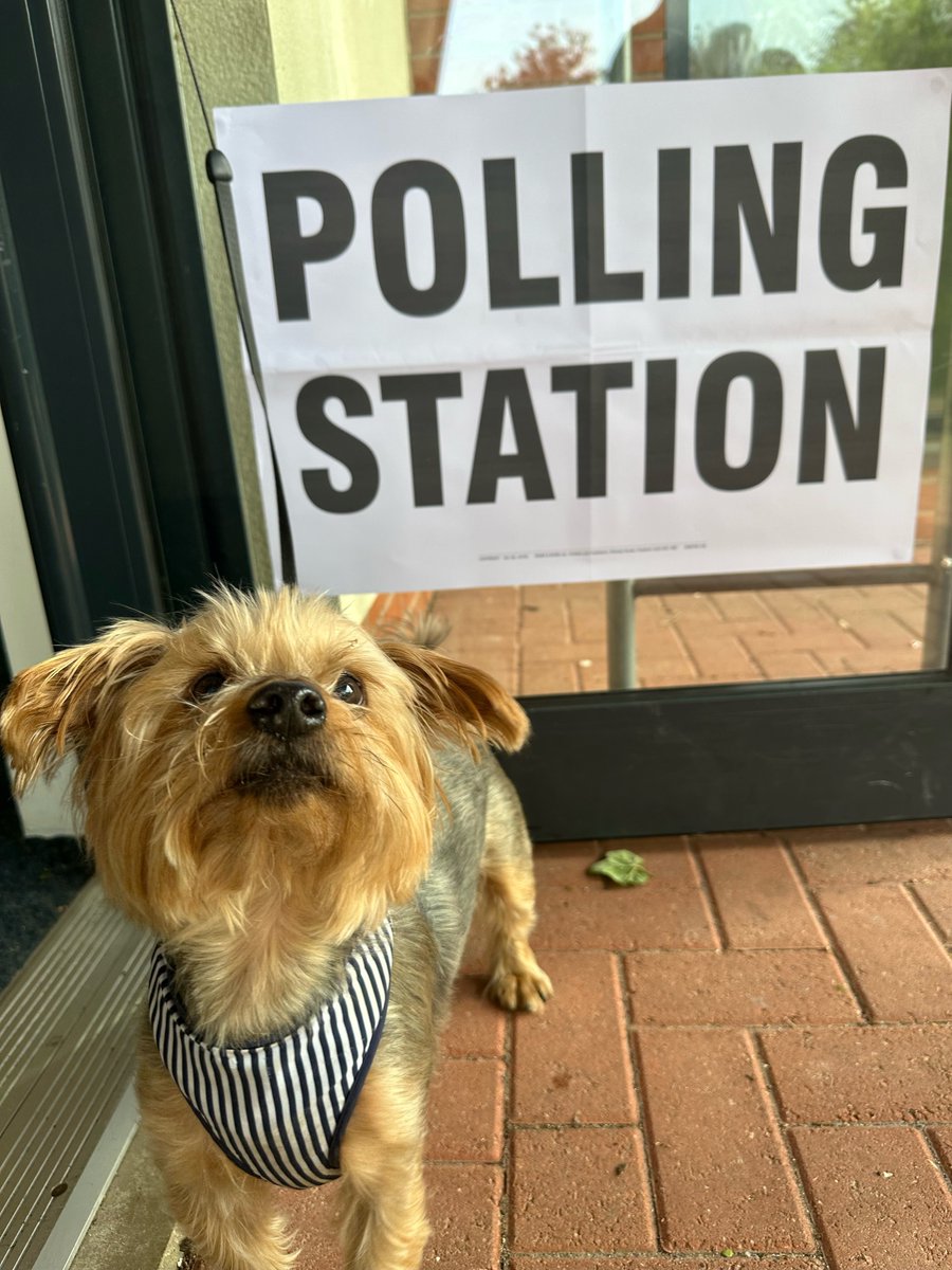 Don't forget to get out and vote, Benji didn't! Open until 10pm! Find your polling station and more info here👇 bit.ly/3QqykV7 #DogsAtPollingStations #GMElects #LocalElection