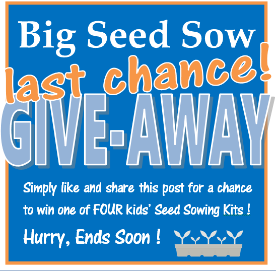 still time to win one of four kids’ Seed Sowing starter kits, perfect activity for holiday weekend.  Repost and Like to enter, pick up locally.
Hurry, ends soon ! 
#RHSBigSeedSow