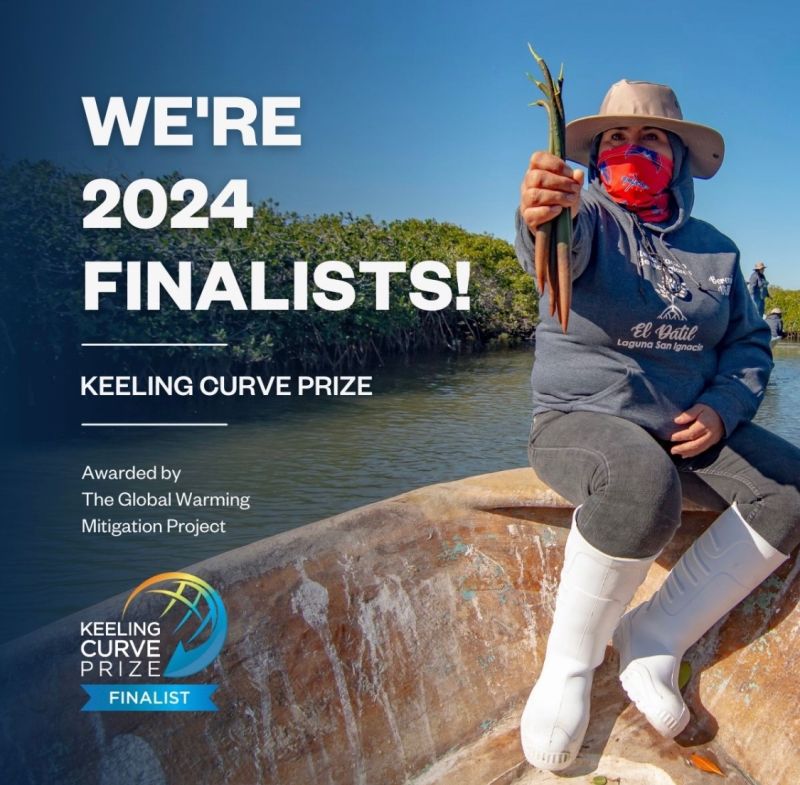 🌍 Exciting News! We're 2024 Keeling Curve Prize finalists‼️ @BIOSORRA is honored to be recognized among the top climate initiatives in the category #CarbonSinks worldwide. #keelingcurveprizefinalists
#globalwarmingmitigationproject #keelingcurveprize #keelingcurveprizefinalist