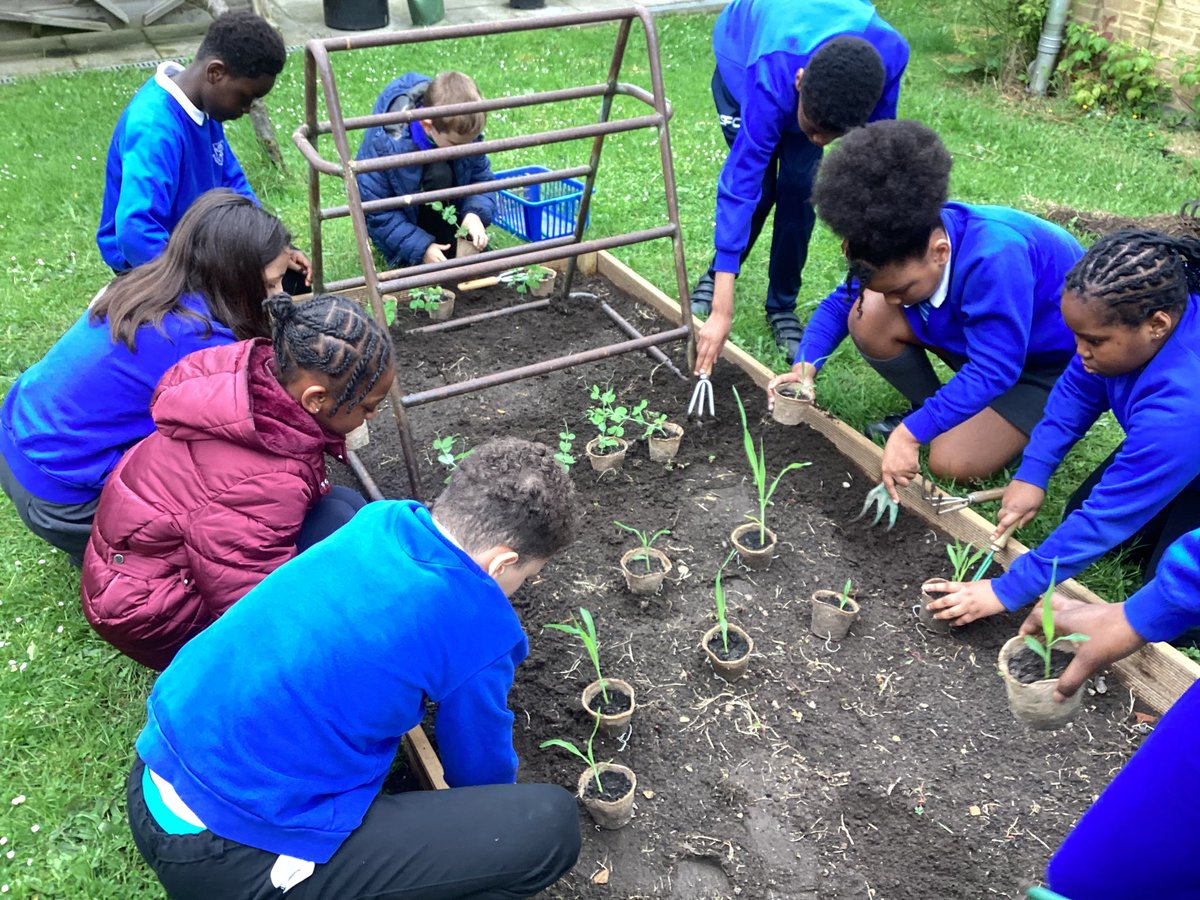 Andries du Toit (@spahhead) on Twitter photo The SPAH Parliament pupils have been busy planting the first of many crops! <a href="/LDBSLAT/">LDBS Academies Trust</a> The SPAH Parliament pupils have been busy planting the first of many crops! <a href="/LDBSLAT/">LDBS Academies Trust</a>