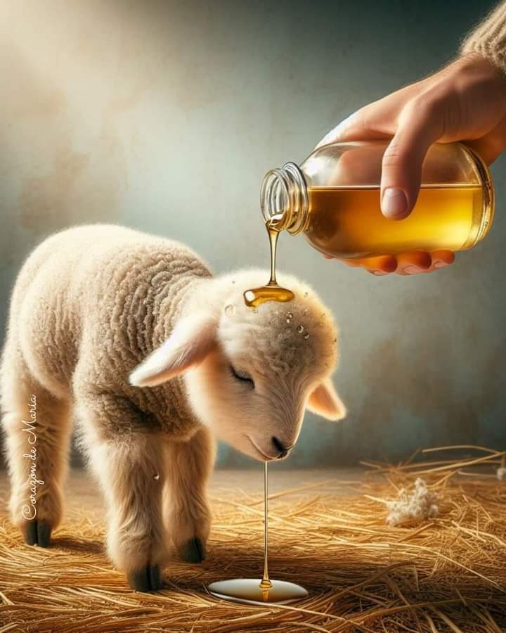 PADRE BUENO,derrama de tu aceite fresco sobre cada uno d tus hijos que claman a Ti,como hace el pastor con sus ovejas. PADRE SANTO,gracias porque tú abres las ventanas de los cielos y envías toda clase d bendiciones a tus hijos. Sanidad,prosperidad. En CRISTO JESÚS. AMÉN Y AMÉN!!
