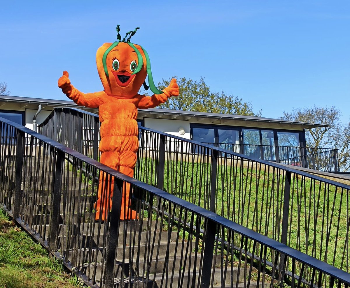 Mariska Jacobi tweet media