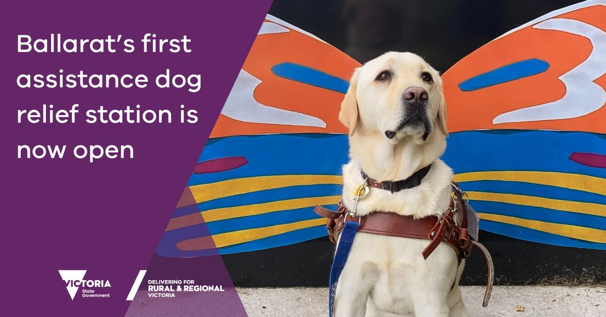 We’ve teamed up with @cityofballarat to deliver their first designated assistance dog relief station. 🐶 It will help people with assistance animals feel more welcome and stay longer in the CBD, and celebrate community diversity. Learn more: go.vic.gov.au/4bgFKSP @VicGovAu