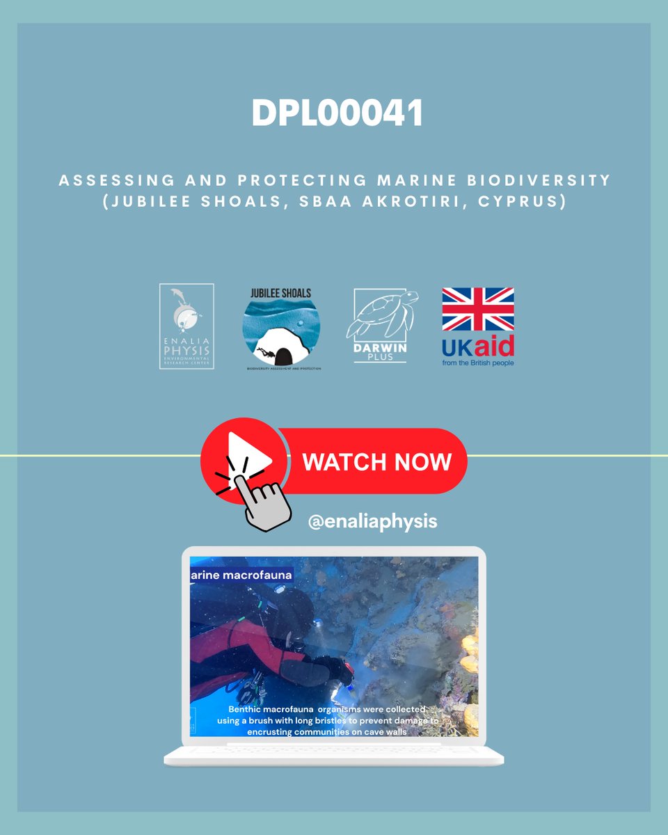 Our marine biodiversity project at Jubilee Shoals, SBAA Akrotiri, Cyprus has come to a close! <a href="/UKBCFs/">Biodiversity Challenge Funds</a> 
With 145 hours of diving by four dedicated divers, we’ve gathered valuable underwater data. Together, we’ve made a positive impact on marine conservation.