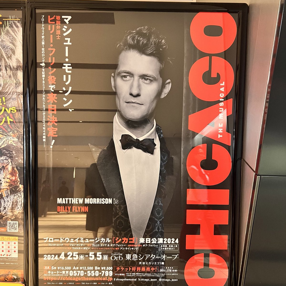 【CHICAGO】
#もあまるの装い
やっぱり観て良かった✨ステージにビッグバンドがいて、生演奏で物語が進んでいく。衣装も装飾もとてもシンプルなのに、sexyでカッコいい。寧ろシンプルだからこそなのか。
#着物 #着物コーデ #普段着物 #和洋折衷コーデ