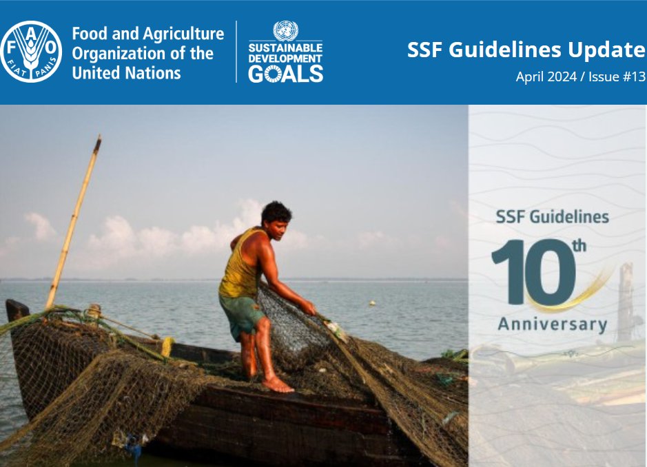 2024 marks the 10th anniversary of the SSF Guidelines. This newsletter reports on recent and upcoming developments in relation to the implementation of the SSF Guidelines that have been initiated by FAO and partners. Visit: newsletters.fao.org/q/143Iw6BzpDtO…