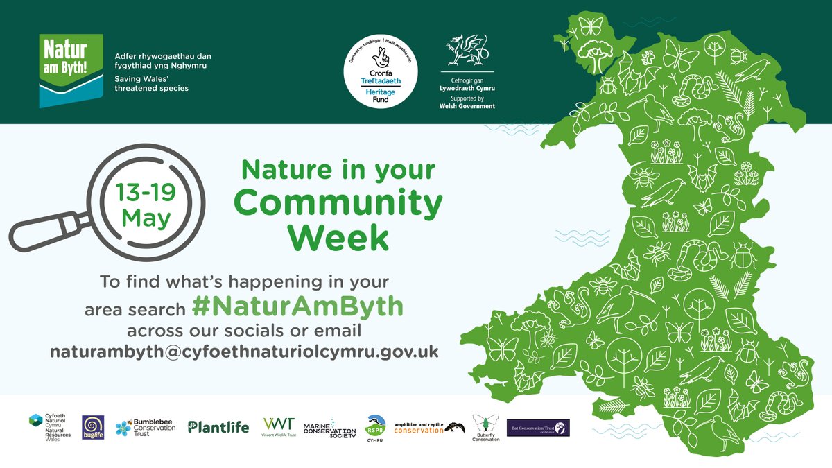 GREAT things happen when we bring #nature and communities together!🌟 That’s why the #NaturAmByth partnership are hosting; 🌿'Nature in your Community' Week ❔activities and community events taking place across Wales! 🗓️ 13 - 19 May #local #wales #natureinwales #community