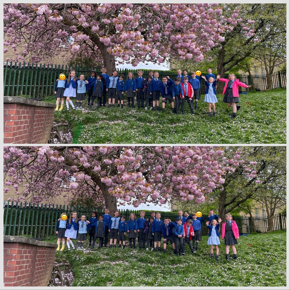 PrimaryMrsPedder tweet media