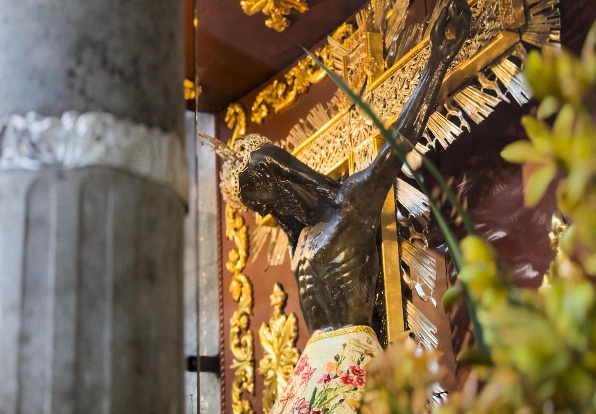 Como bugueña y alcaldesa, rechazo enérgicamente los comentarios inapropiados e irrespetuosos que dos humoristas realizaron sobre el Señor de los Milagros de Buga.  El humor no puede ser una excusa para ofender las creencias y tradiciones religiosas. La imagen, representa la fe y