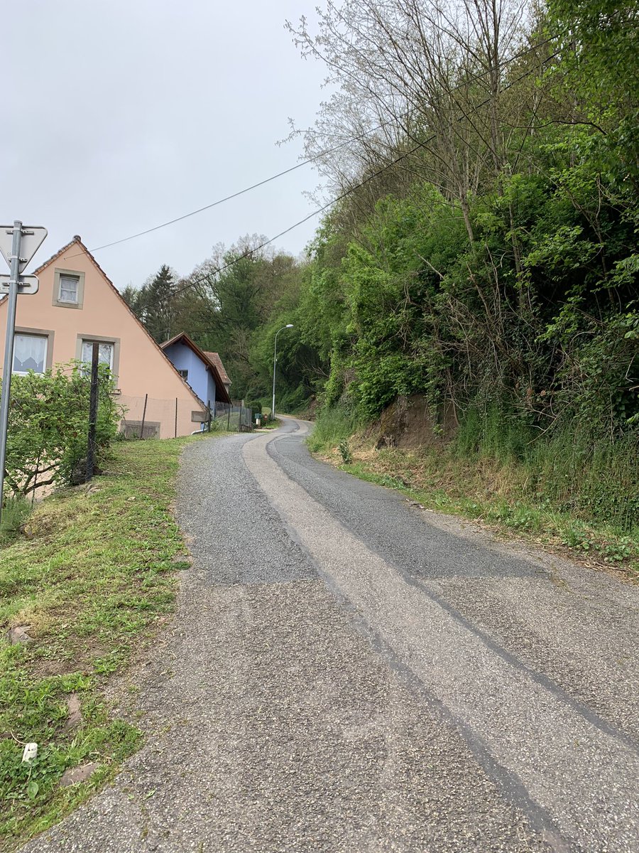 Et soudain devant toi, le mur entre Tieffenbach et Weislingen, avec son revêtement pourri et des passages à plus de 20% 🥰🚲