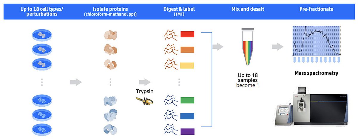 Rise of Automation in Mass Spectrometry–Based Proteomics genengnews.com/topics/omics/r… --- #proteomics #prot-article