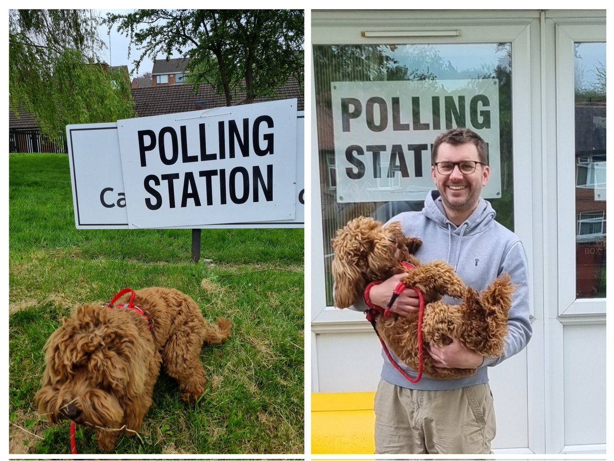 Patch says don't forget your ID when going out to vote today. #DogsAtPollingStations