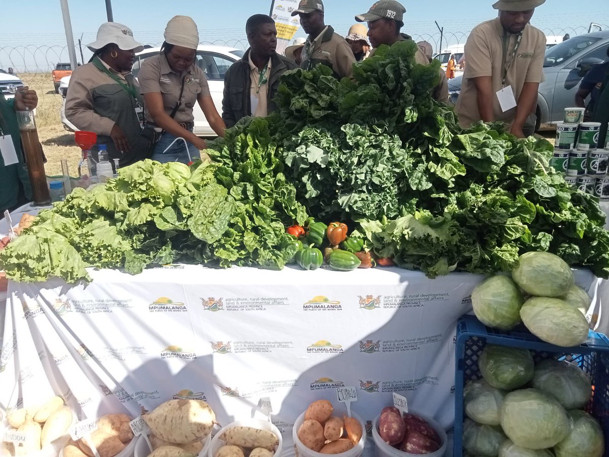 (Happening Now) Handover of Mpumalanga AGRI-PARK by Mpumalanga Premier @Refilwe_MP  SASOL KRAAL SECUNDA ,  with various government departments and entities rendering services, @GovanmbekiM @GertSibande_DM #LeaveNoOneBehind #ServiceDelivery #FoodSecurity
