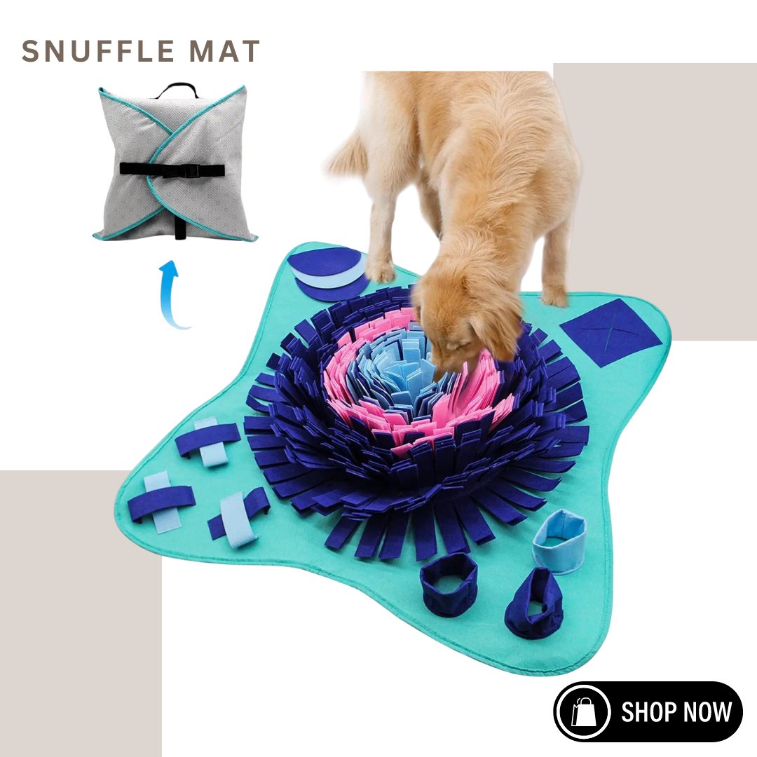 HamPurr's tweet image. Enhance your pet's mental health and digestion with our 25x25 inch Snuffle Mat for Dogs and Cats, designed to train their sense of smell and encourage natural foraging behaviors, while slowing down eating speed. 🐾🌿 #SnuffleMat #PetWellness
hampurr.com/products/snuff…