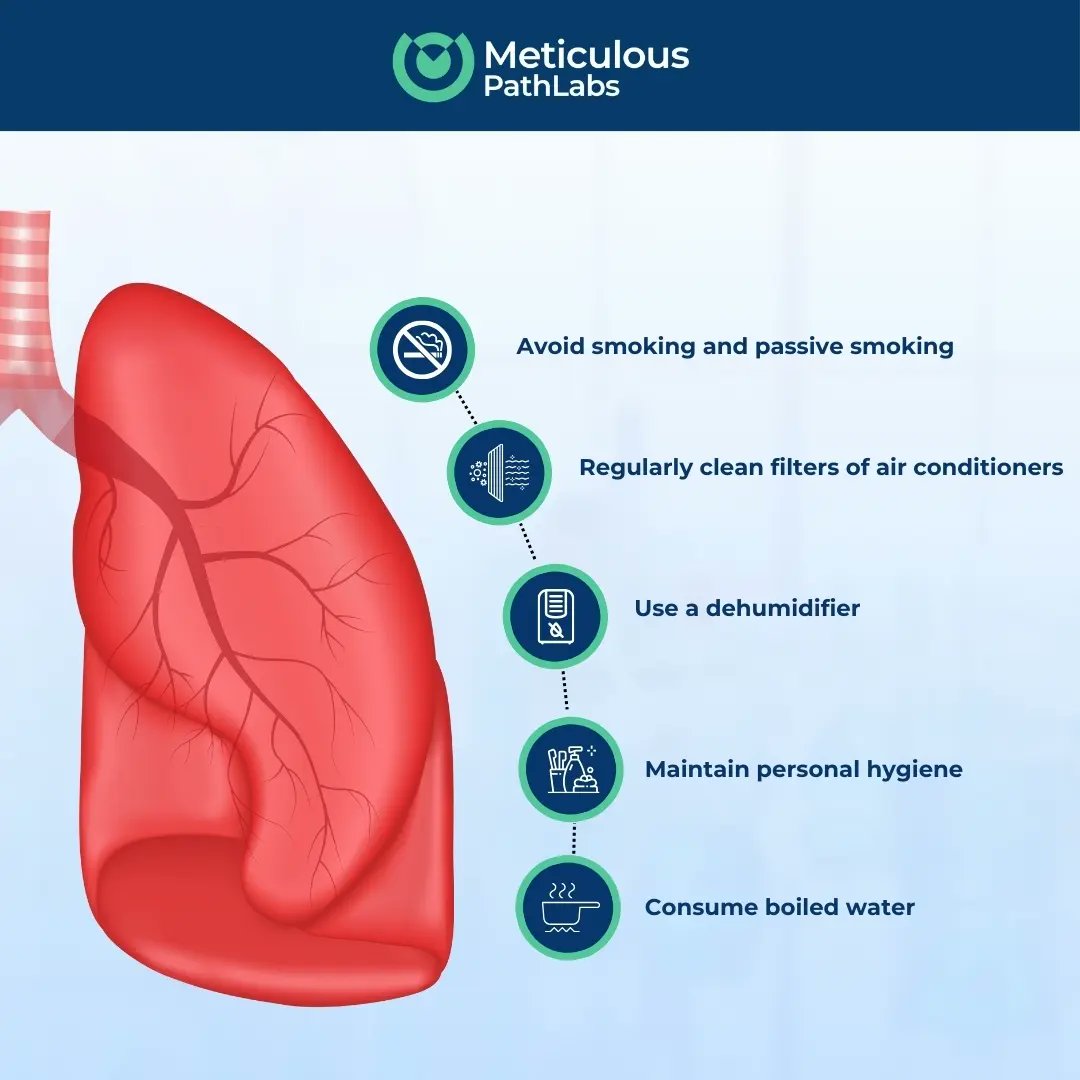 Feel the world with every breath. 
Let's keep those lungs healthy with these 6 simple steps

#MeticulousPathLabs #breatheeasy #healthylifestyle