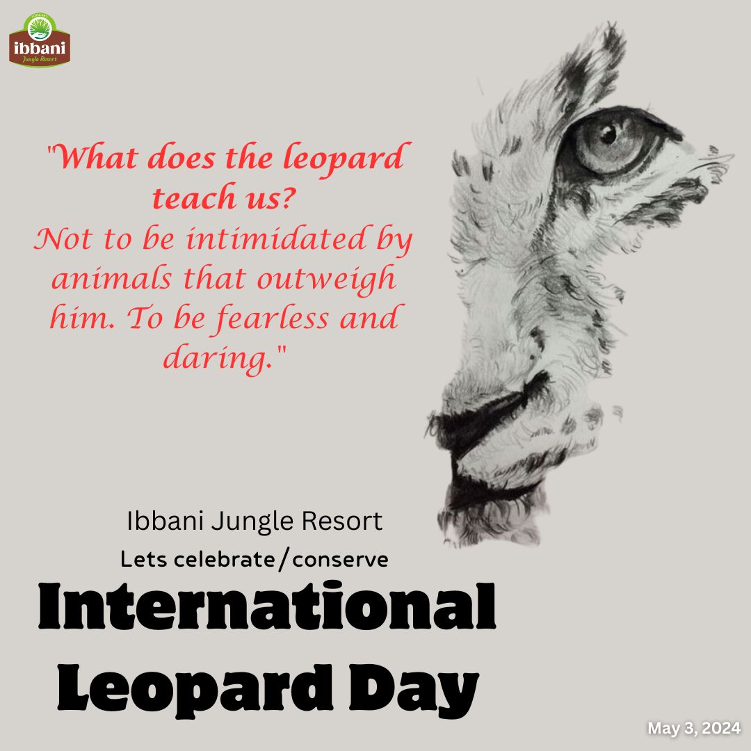 Wishing you all a Happy International Leopard Day!

#InternationalLeopardDay
#LeopardConservation
#ProtectBigCats
#WildlifeWednesday
#SaveOurLeopards
#BigCatAwareness
#LeopardLove
#WildlifeProtection
#SpotTheLeopard
#NatureIsCalling
#travelcicada