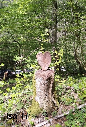 Bonjour à tous 😊 Alsace, région de ❤️