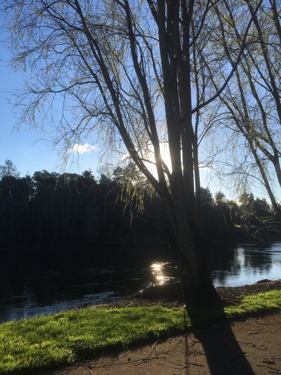 no clock, no watch
knowing time
by how the light falls
in the sky, in the room
on my life~