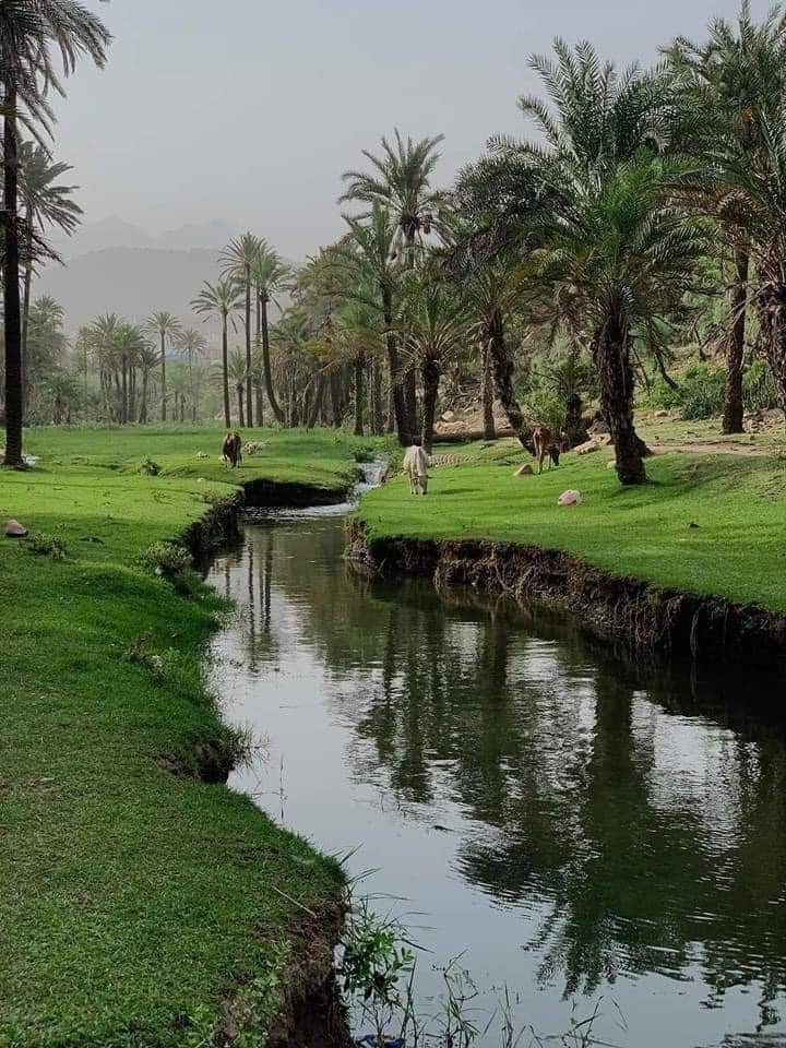 arwa_yemen's tweet image. بني شيبة الشرق 
 وادي عبر 
 تعز 🤍
#سياحة_داخلية
#طن_وطن