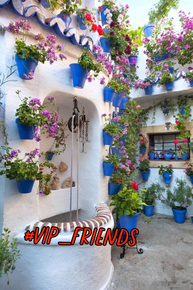 (\_/)
(•x•)
(&lt;🍦) #VIP_FRIENDS ⭐
❥
<a href="/SOY_ALESXIA2/">🎀 ❥ SOY_ALESXIA2 ❥ 🎀</a> 
<a href="/MARTHA_CAN2/">MARTHA 👑</a> 
❥
<a href="/x4Eileen/">Eileen Bridget🌸</a>
@MQ_786 
<a href="/goldisez/">Goldi 🌺</a>
<a href="/DALIHAH_/">꧁•❥ 💙ᗪ卂ㄥ丨卄卂卄_❥ 💙꧂</a> 
<a href="/_ALESXIA/">꒰ ͜͡➸ ❤ A̫̫L̫̫E̫̫S̫̫X̫̫I̫̫A̫̫ ꒰ ͜͡➸❤</a> 
<a href="/Ahmedjul/">Äĥmęđ KĦâlẻđ </a>
<a href="/seraichiban3/">伊緒里のセーラー服🇯🇵🍥⏰🦄🌈🇫🇷🍒🌸💫</a>
@VIO_LET9 
<a href="/MERRY_ZAE/">🚕MERRY🚕</a>
<a href="/As_t40/">EriKaCao</a>
<a href="/ALESXIA_ANK/">👝💄 ALESXIA💄👝</a>
@_B_RANDON6
@LIZZEY_1 
@Lu_v_u2 
<a href="/DyelQueM/">🌤🫧☆◉ᴅʸᵉˡǫᵘᵉⁿ◉☆•🫧🌤</a> 
<a href="/Jamesspencer211/">James Spencer #GAINWITHPETAL #TMPETAL #Teamspirit</a>
<a href="/Spencerjames211/">Spencer James #GAINWITHPETAL #TMPETAL #Teamspirit</a>
<a href="/GRAHAM15583/">🅶🆁🅰🅷🅰🅼</a>