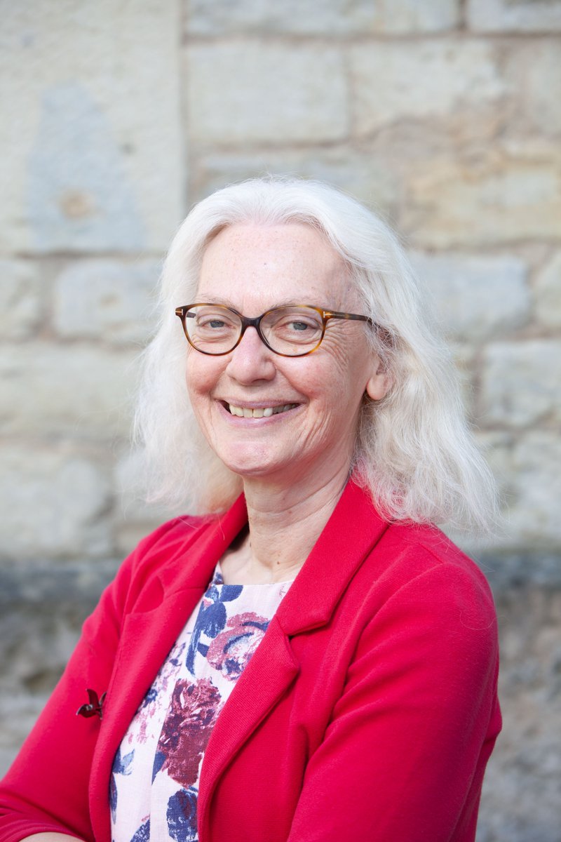 We are delighted that OPT trustee @CaroleSouter has been appointed as Chair of the Heritage Alliance, to succeed Acting Chair Ingrid Samuel on 1 July. @Heritage_NGOs