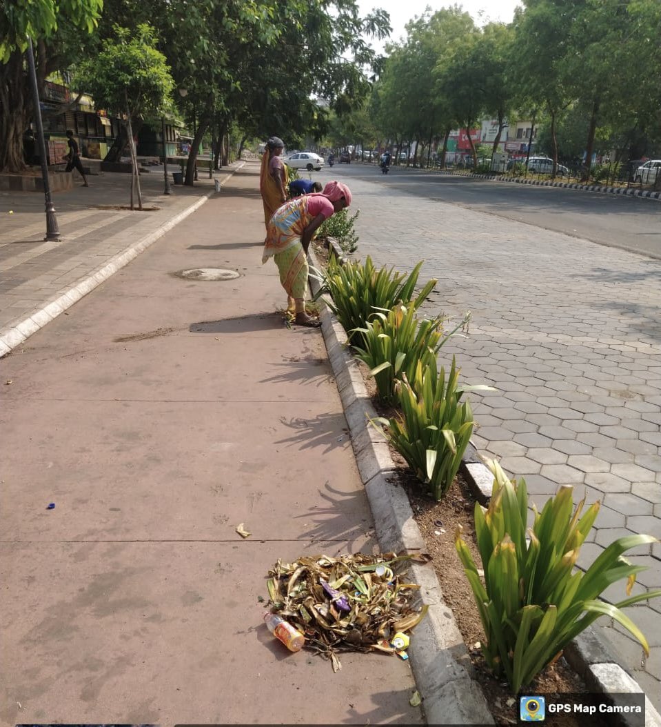 Medians are being routinely maintained by having trees trimmed, trash picked up, bush cutting and plants replaced in several areas of Bhubaneswar. #BhubaneswarFirst