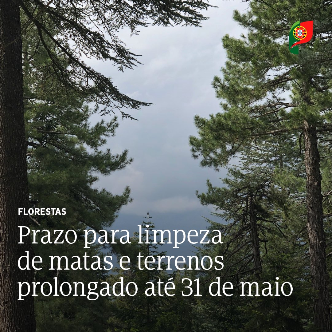 O prazo para limpeza de matas e terrenos foi prolongado até 31 de maio. O controlo da vegetação é uma ação essencial na #prevenção de #fogosrurais. Saiba mais em portugal.gov.pt