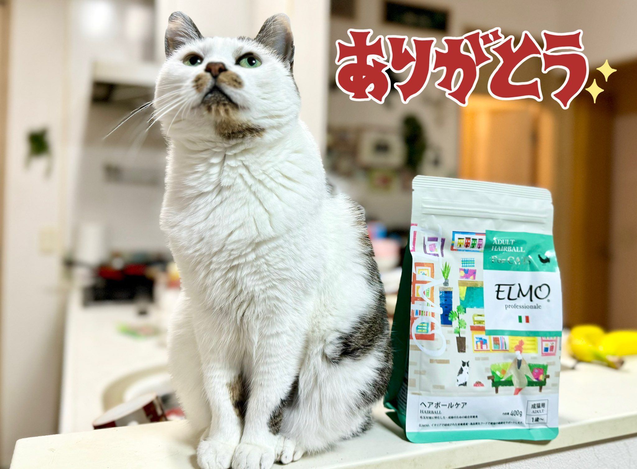 エルモ　ユリナリーケア　8キロ エルモユリナリーケア8キロ