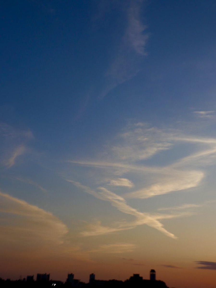 .
クロスした
飛行機雲の競演

素晴らしい夕空

.

2024.5.2 (木) 📸

#イマソラ #飛行機雲 #夕暮れ #夕空 #夕焼け #天気の図鑑 #気象のはなし #a20240502
