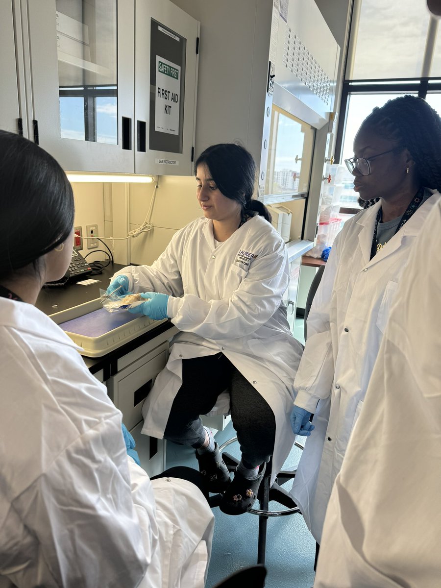 PJ Students' Council tweet media