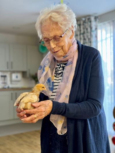 Baby chicks bring Spring joy to care home residents caretalk.co.uk/uncategorised/… @nurserehabjobs