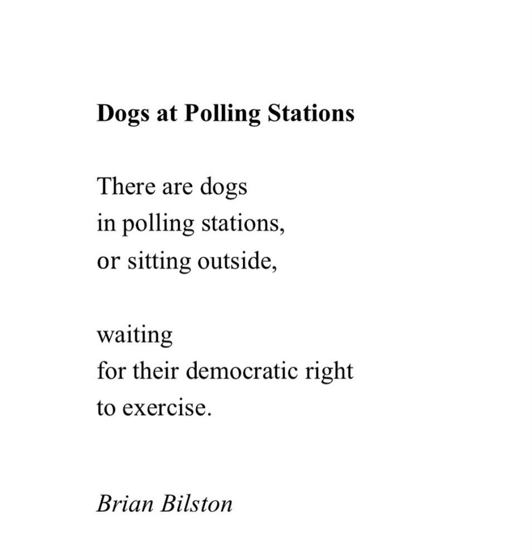 #DogsAtPollingStations