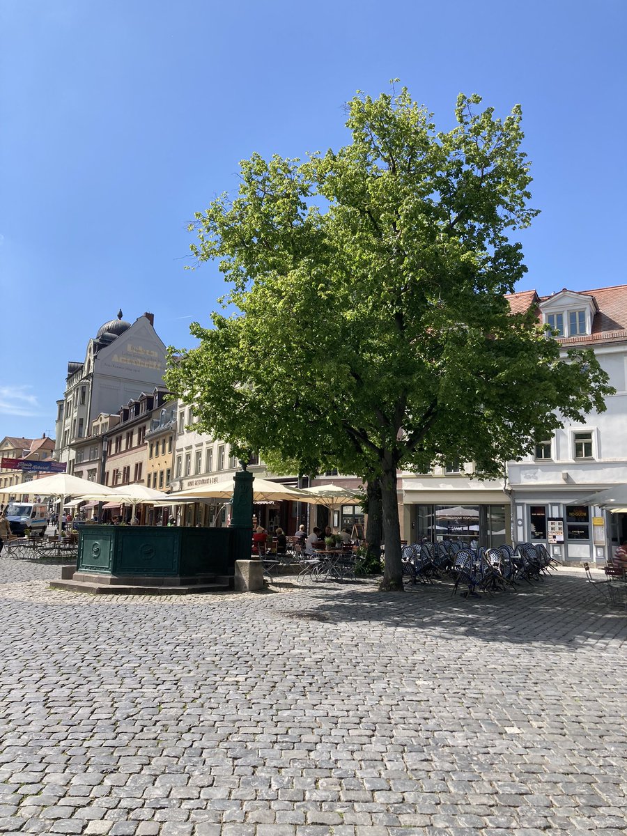 „Berlin, Berlin, wir fahren nach Berlin“

Unterwegs Würzburg und Weimar 🤍
#Deutschlandistschön