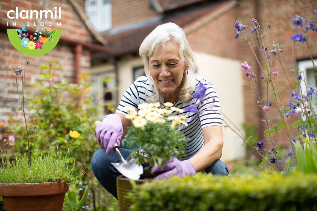 *Closing date for applications has been extended until 17 May!* Apply online for #ClanmilInBloom2024 🌷 Our annual gardening competition is open to 𝐀𝐋𝐋 Clanmil customers and the winner of each category will scoop the top prize of £100! Enter here: clanmil.org.uk/apply-clanmil-…