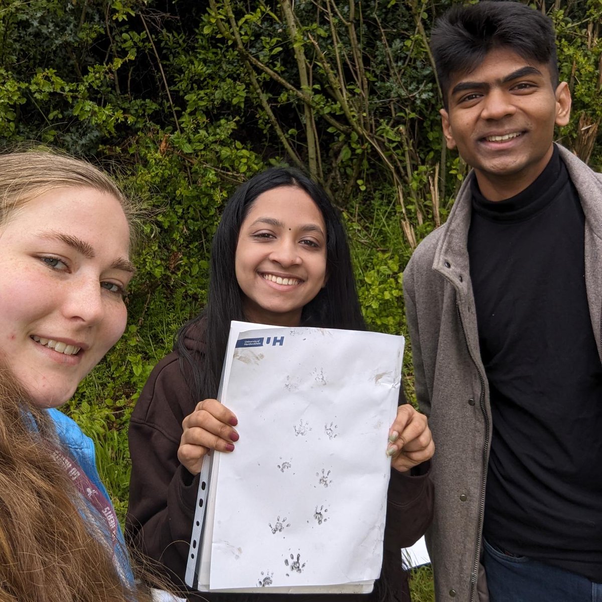 Our hedgehog footprint surveys that we conducted last week @UniofHerts were a great success! @HogFriendly 🦔 We found hedgehog footprints on both College Lane and De Havilland campuses. Thank you to the staff and students that volunteered 💚
#hedgehogfriendlyherts