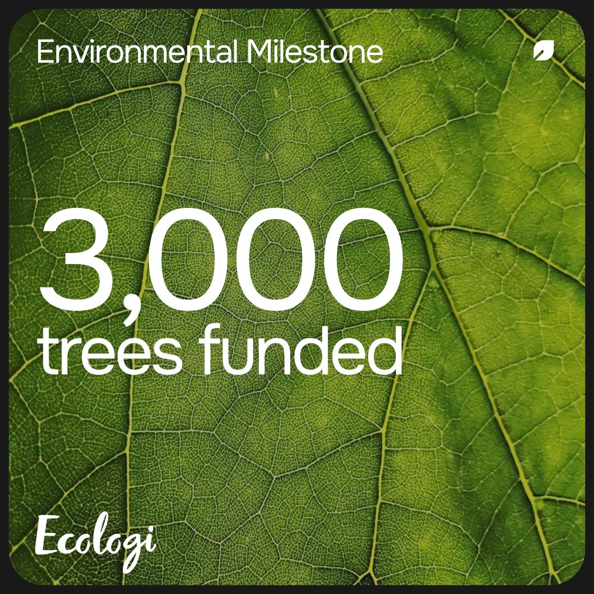 In February last year, we teamed up with <a href="/Ecologi_hq/">Ecologi 🌍</a> to embark on a journey towards a greener future. Today, celebrate a noteworthy milestone: 3000 trees funded 🌳