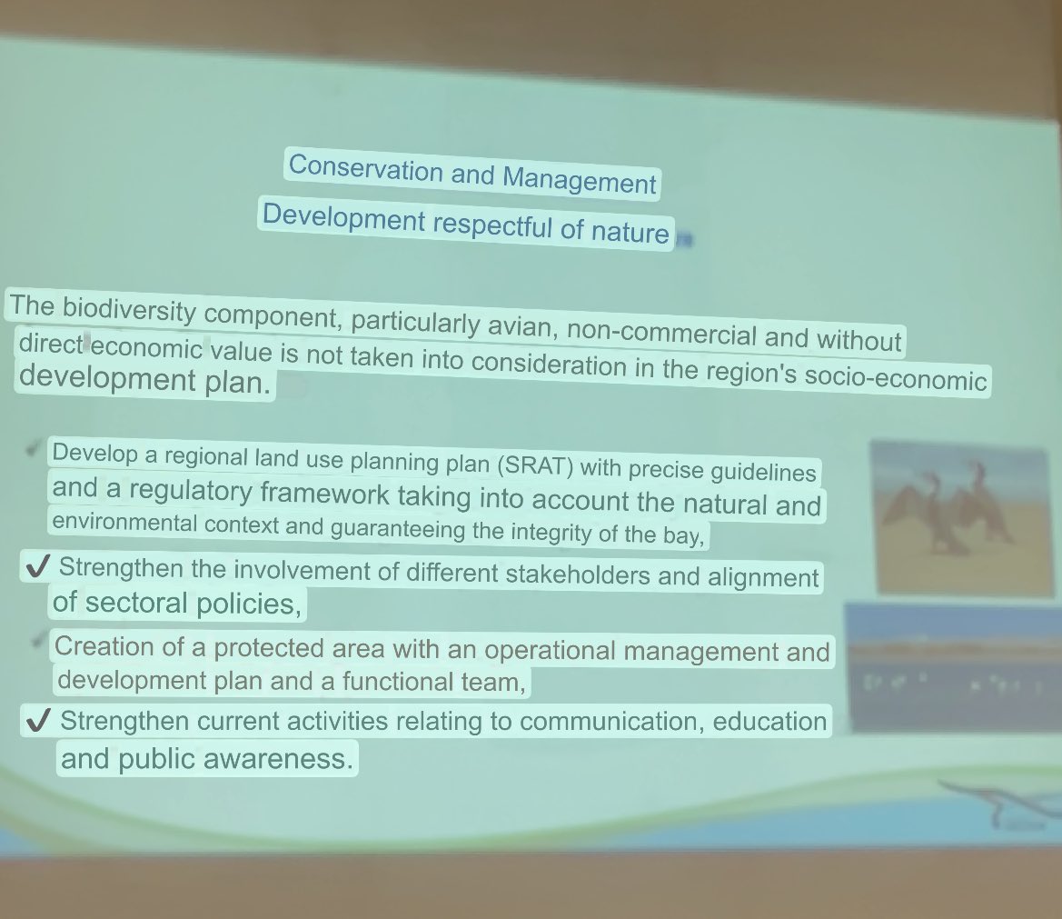 Khadija Bourass now discussing a major waterbird wintering site in Morocco and the threats and challenges it faces along with recommendations on how to undertake long term monitoring and create a protected area #SSIG24