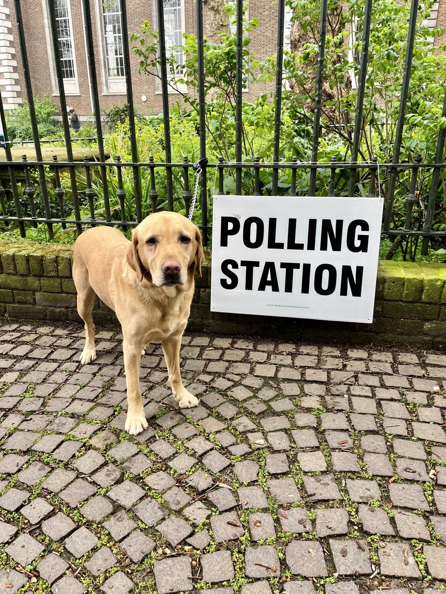 I dreamed last night that ⁦@kylieminogue⁩ had become Prime Minister. Next best thing is voting today. #dogsatpollingstations