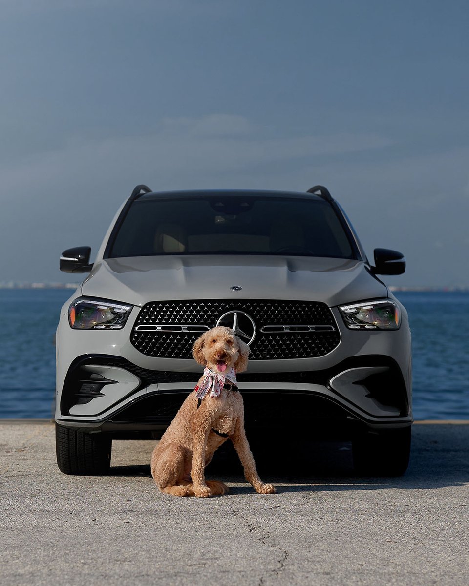 It’s a Doodle’s world. We’re just living in it.​ 📸: @ashtonstan #MercedesBenz #GLE #InternationalDoodleDogDay