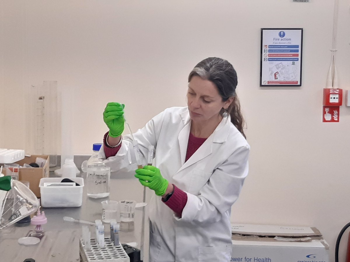 Rothamsted Research tweet media