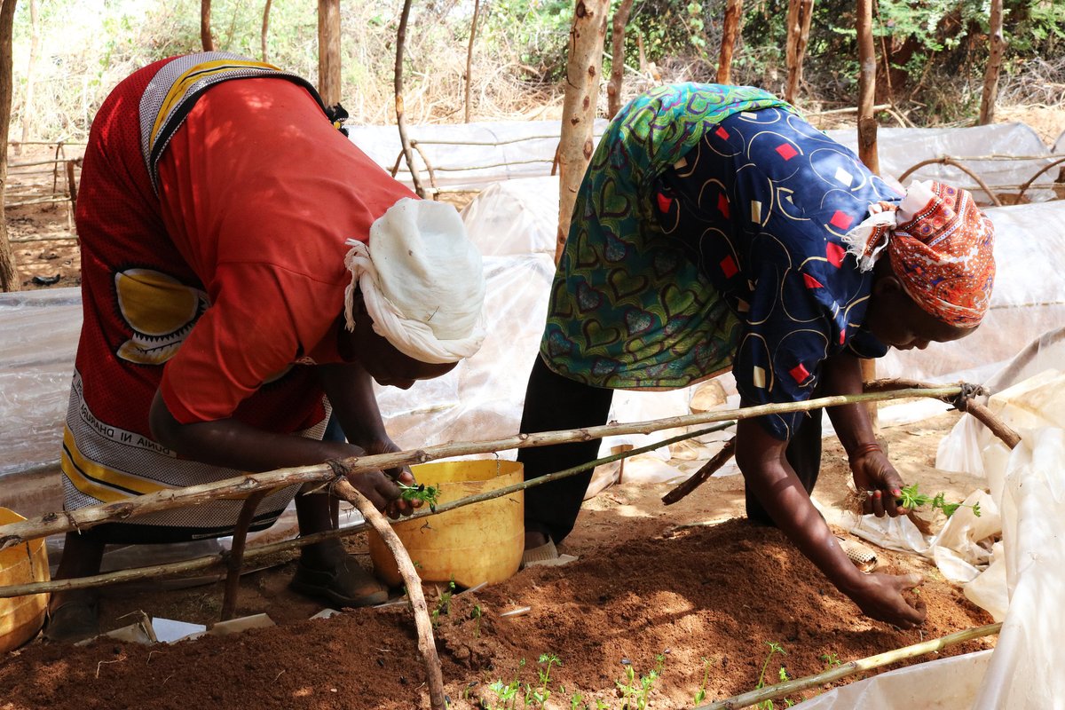 How is climate change affecting public health in Kenya, and what can spiritual leaders do to help improve resilience? New blog post: eclasproject.org/the-health-imp…