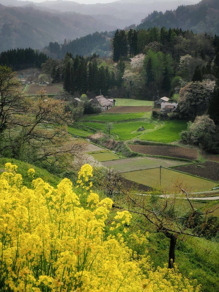 通りすがりの信州の山里にて。 絶景ではないけどこんな風景が好き 今日もお疲れ様♪ #フォトポケ 🌃𝙶𝚘𝚘𝚍 𝚎𝚟𝚎𝚗𝚒𝚗𝚐🌙