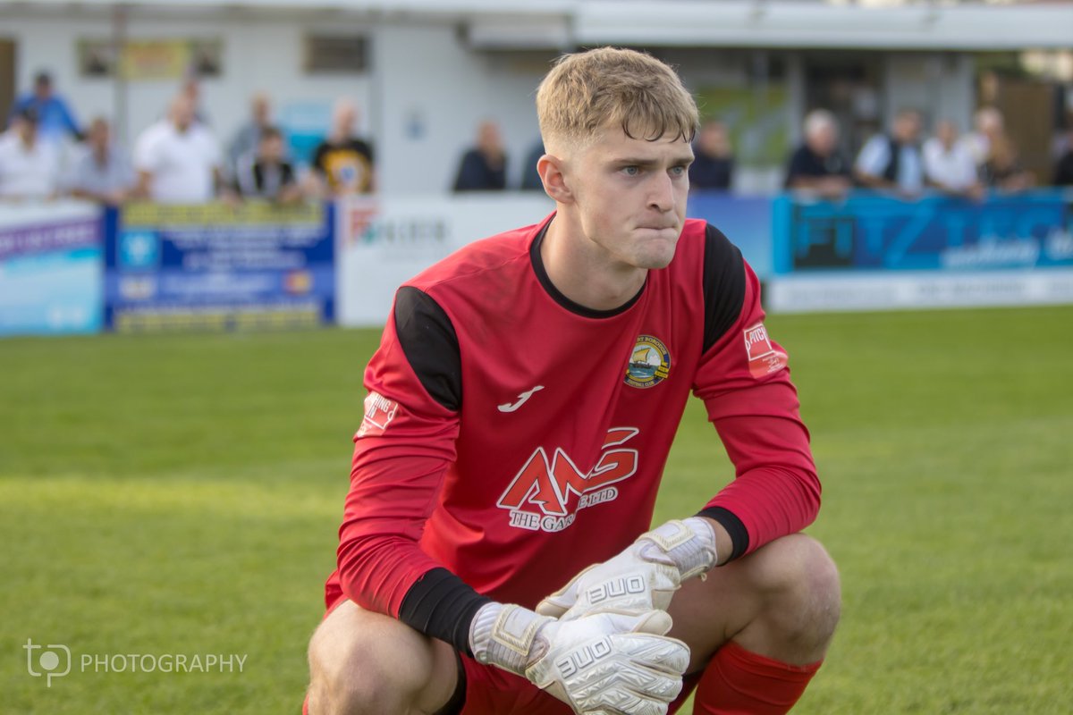 TobySteward12's tweet image. Thank you to everyone @GosportBFC for a great experience on loan. Gutted we couldn’t go all the way but very proud of an amazing season💛💙

-40 games
-15 clean sheets 
-supporters player of the season
-best defensive record in the league 
-Play off semi final