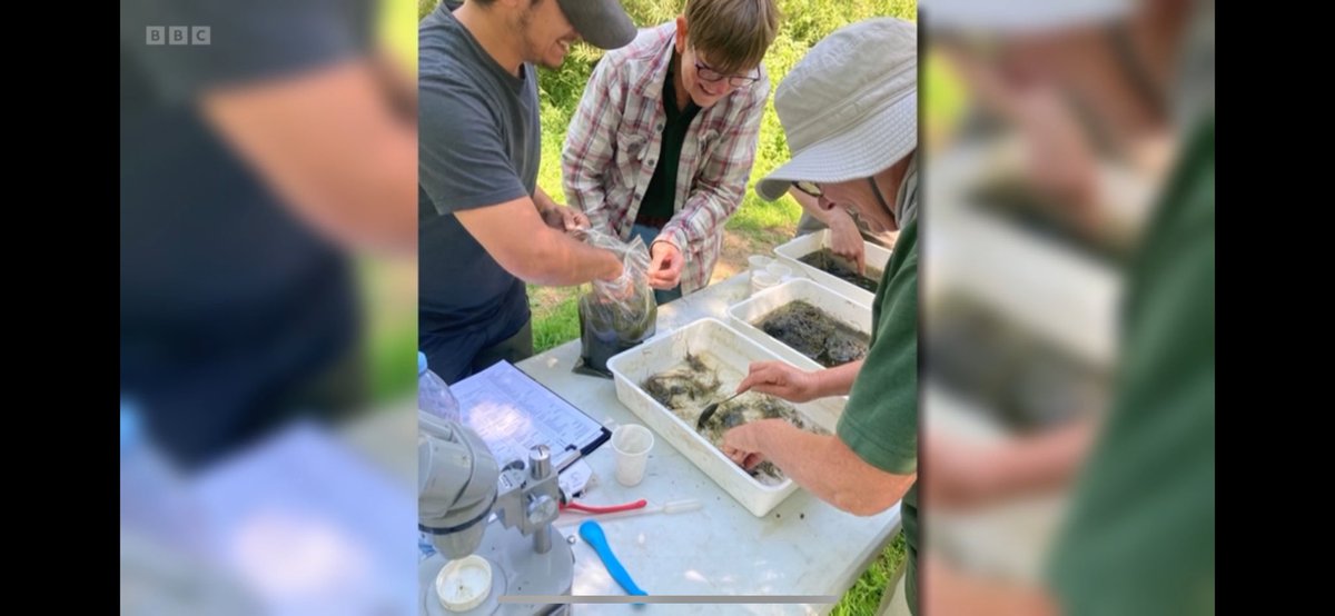 Highly recommend the fantastic documentary by @BBCCountryfile on @RutlandWaterNR and @LeicsWildlife, which highlights the amazing #waterquality work Tim Sexton and his volunteers are doing using invertebrates 🪲plus a quick feature of @Pondy_Patel and myself when we joined in!