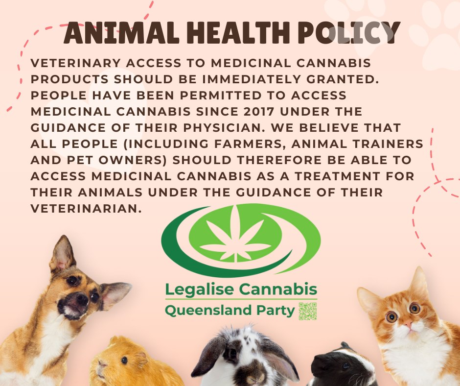🐶🐱🐰In animals, the endocannabinoid system regulates multiple physiological functions. Like humans, animals respond to phytocannabinoids for treating several conditions. jcannabisresearch.biomedcentral.com/articles/10.11…
#CannabisIsMedicine #CannabisForPets #CannabisHeals
lcqparty.org/policies/