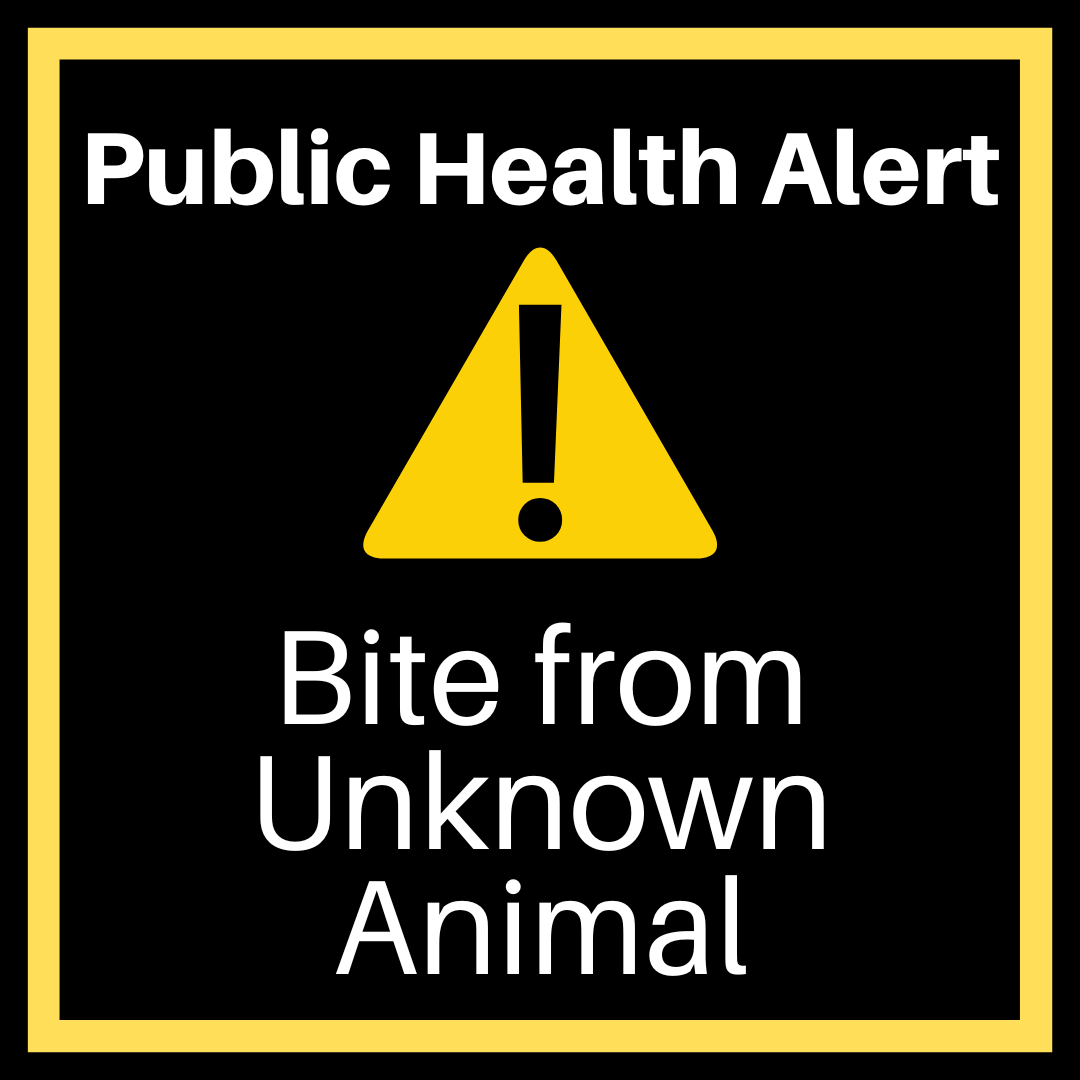 We are looking for the public's help in locating a dog after a person was bit Wednesday, May 1, 2024, around 8:00 p.m. The incident occurred at the park area near the Willowdale Crossing Apartments Frederick. Visit the link for more information. health.frederickcountymd.gov/DocumentCenter…